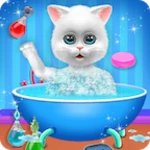 cute kitty cat pet care android application logo